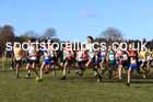 Boys under-13s 2025 Northern Cross Country Champs, Tatton Park, Knutsford, Cheshire. Photo: David T. Hewitson/Sports for All Pics